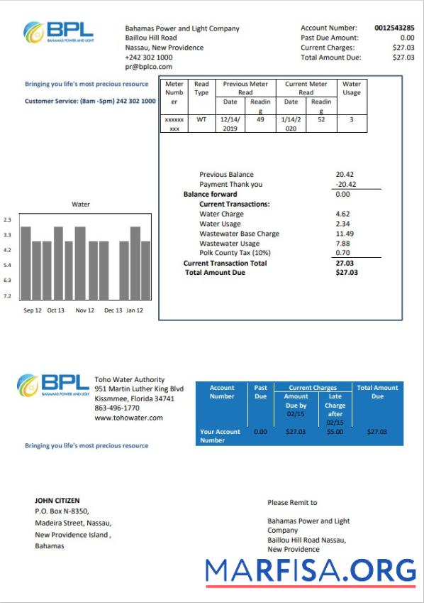 Blank Bahamas Power and Light Company utility bill template in Word and PDF format
